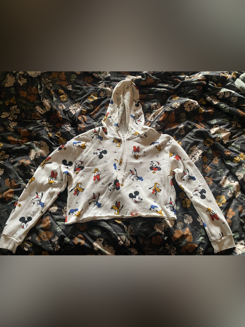 Disney Cropped Hoodie